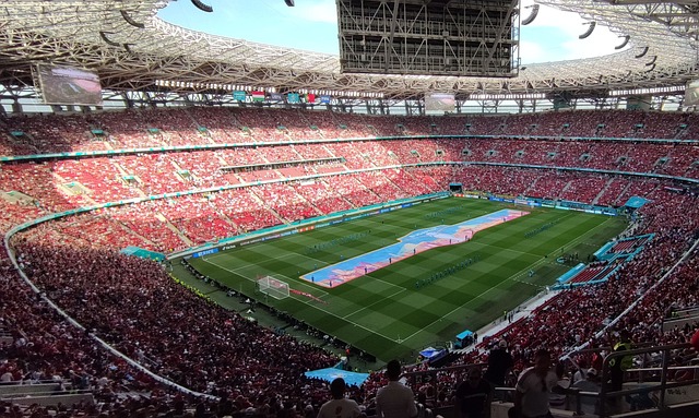 美山河的机 美山河的机