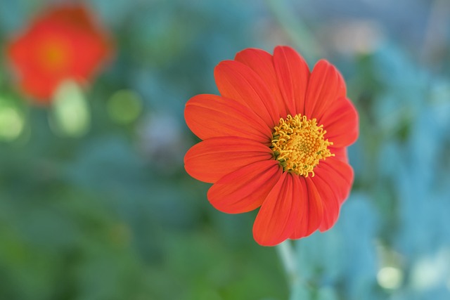 但他们同样 但他们同样