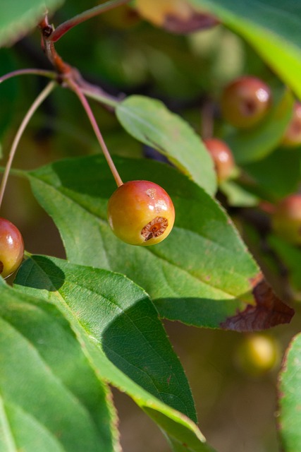 地面对挑战 地面对挑战