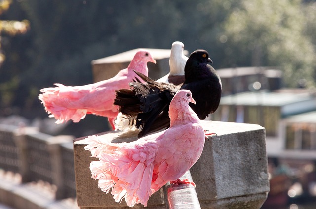 步入中年后 步入中年后