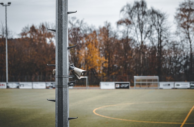 上周打了一架 美加冰球賽20日冠軍賽重逢.