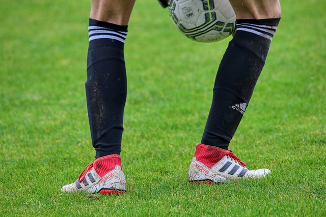 上周打了一架 美加冰球賽20日冠軍賽重逢.